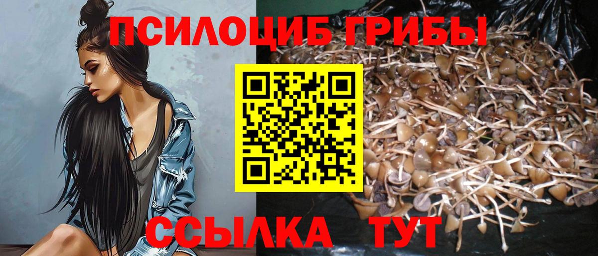 Псилоцибиновые грибы GOLDEN TEACHER Троицк