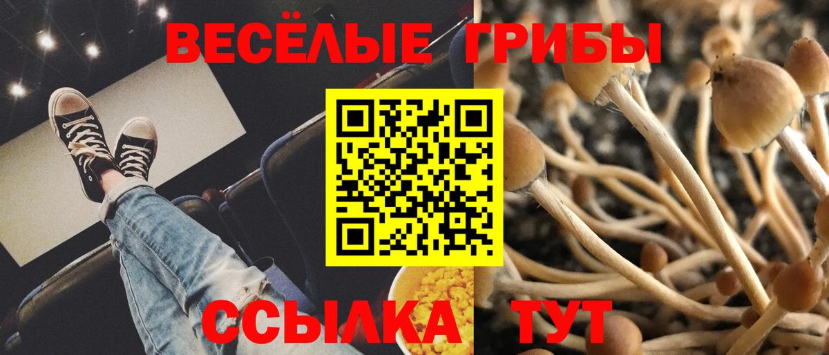 Галлюциногенные грибы ЛСД  Галлюциногенные грибы мухоморы  Троицк  Вход с VPN 